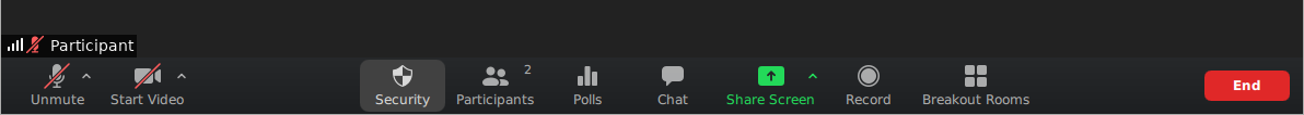 Buttons at the bottom of the main Zoom window, including the highlighted Security button